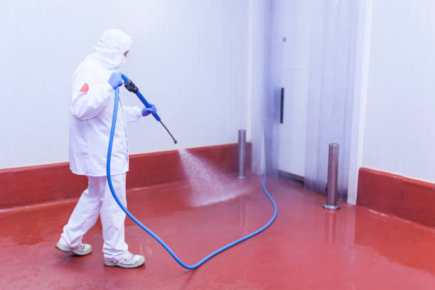 Best Building Exterior Washing  in Bayshore, NC