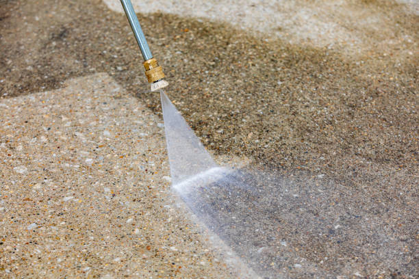 Best Spring Cleaning  in Bayshore, NC